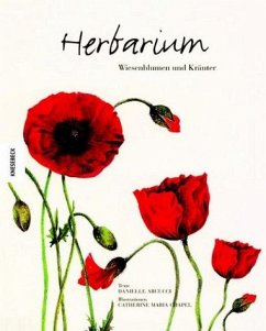 Danielle Arucci - Herbarium. Wiesenblumen und Kruter