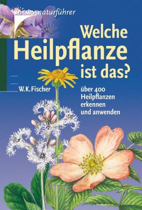 ebook Basedow Studien: Morphologisch experimentelle Untersuchungen an Schilddrüse und Thymus zum Problem der Basedowschen Krankheit