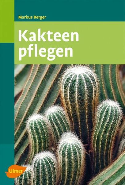 online die k diminutiva im nordfriesischen und in verwandten sprachen 1961