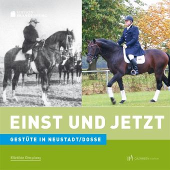 pornototale filme Neustadt (Dosse) (Brandenburg) pornototale filme Neustadt (Dosse) (Brandenburg)