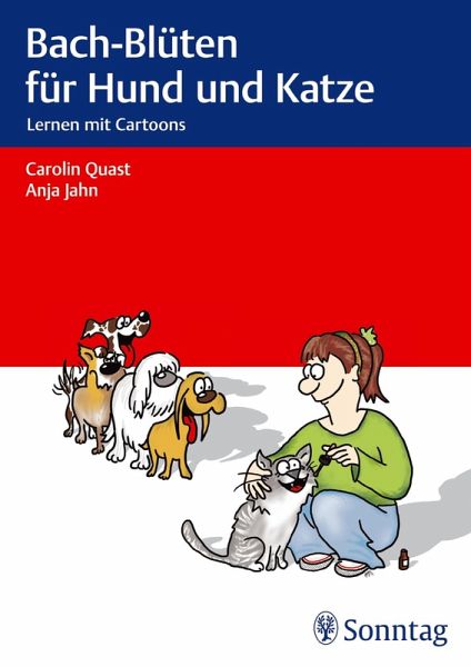 Kurzgeschichte Hund Und Katze Pdf