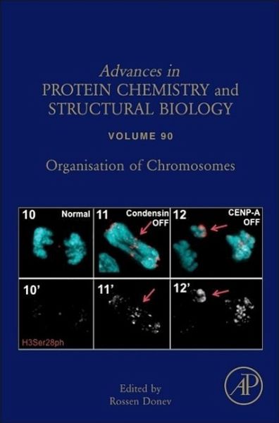 prediction of defects in material processing 2003