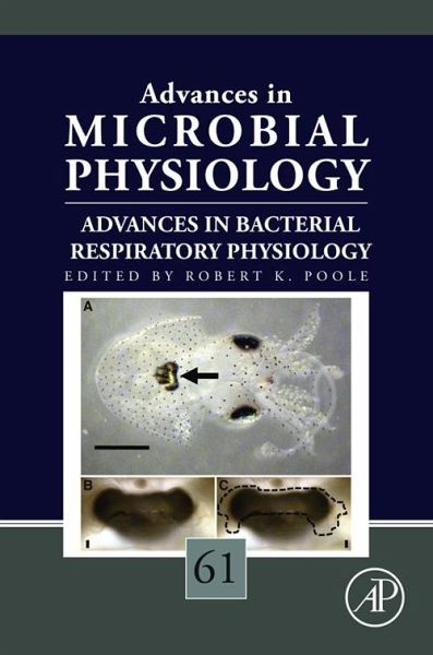 photochemistry volume 33