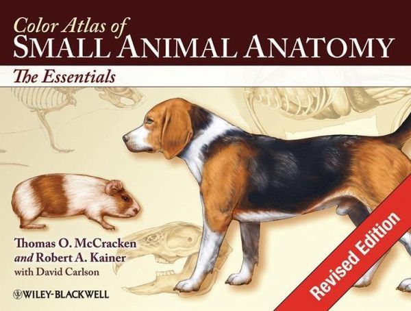 Color Atlas of Small Animal Anatomy (eBook, PDF) von Thomas O