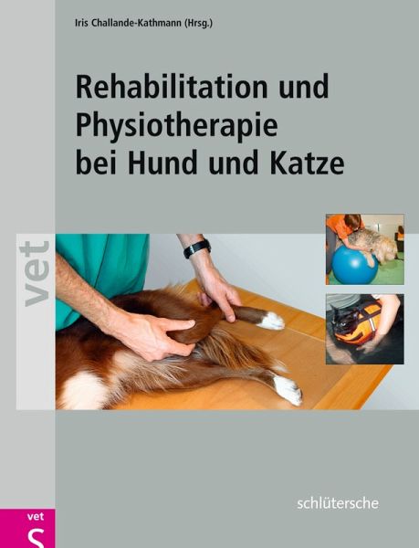 Rehabilitation Und Physiotherapie Bei Hund Und Katze Buch Neueste Ausgabe
