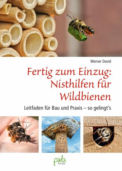 Fertig zum Einzug: Nisthilfen für Wildbienen - David, Werner
