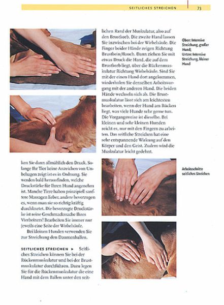 shop home artikeldetails hunde richtig massieren brunhilde muehlbauer isbn shop home artikeldetails hunde richtig massieren brunhilde muehlbauer isbn