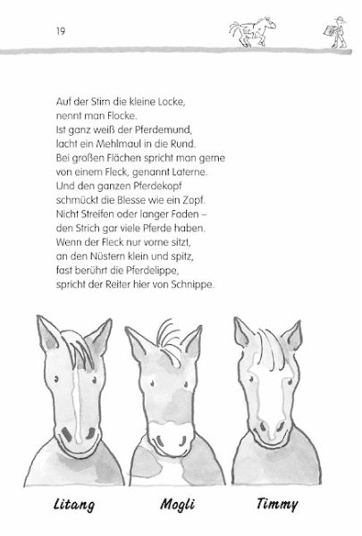 Superstarke Pferderätsel von n / a - Buch - buecher.de