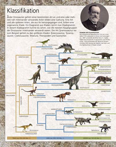 Download kostenlos online Dinosaurier \/ memo  Wissen entdecken Bd.1  1000000 free eBooks