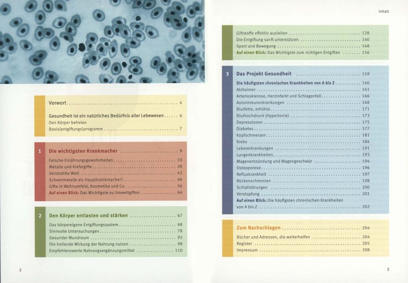 modelling potential crop growth processes textbook