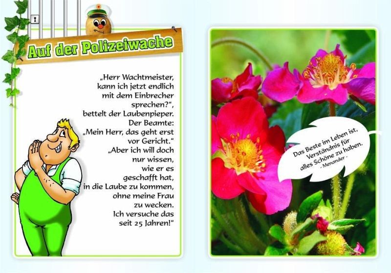 Laubenpieper Buch buecher.de