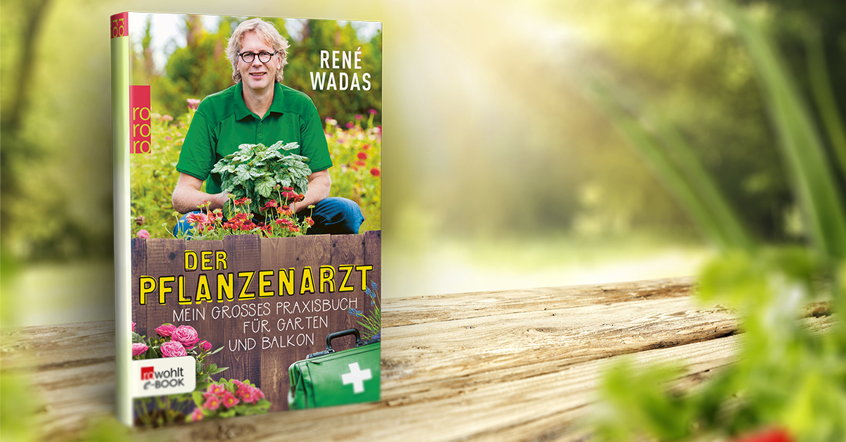 Der Pflanzenarzt von René Wadas als Taschenbuch