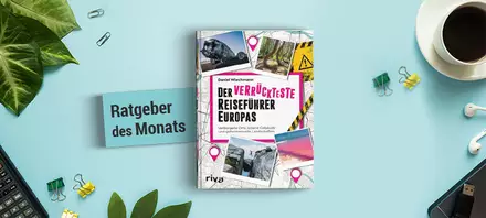 Beschreibung des Bildes