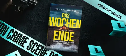 Beschreibung des Bildes