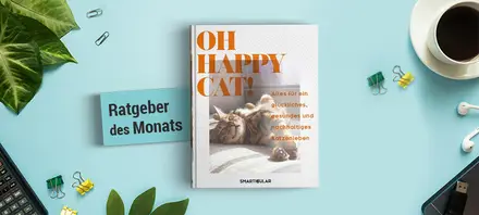 Beschreibung des Bildes
