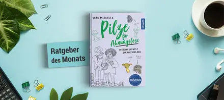 Beschreibung des Bildes