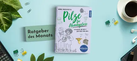 Beschreibung des Bildes