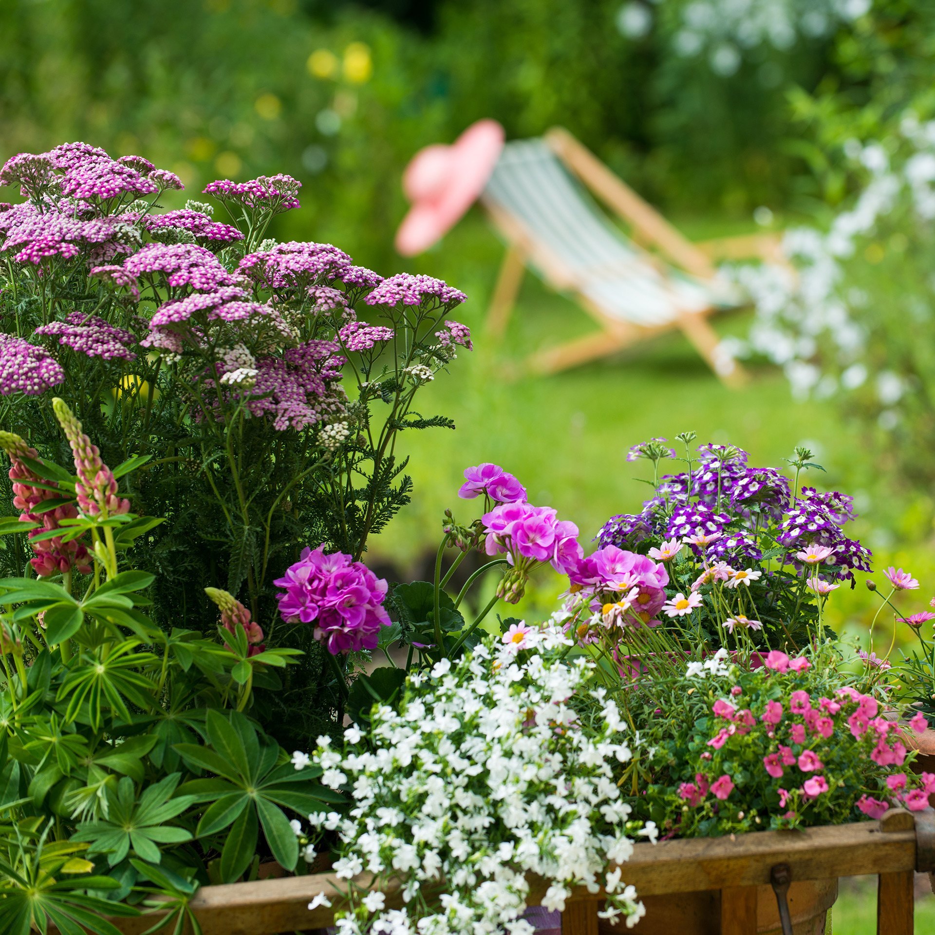 Garten