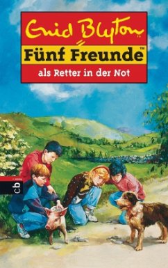 Fünf Freunde als Retter in der Not / Fünf Freunde Bd.11 - Blyton, Enid