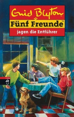 Cover Fünf Freunde jagen die Entführer / Fünf Freunde Bd.13