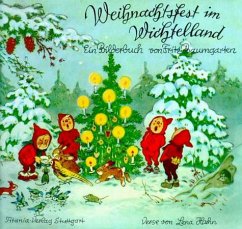 Weihnachtsfest im Wichtelland - Baumgarten, Fritz;Hahn, Lena