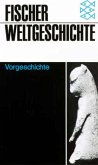 Vorgeschichte