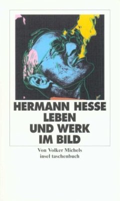 Hermann Hesse, Leben und Werk im Bild - Hesse, Hermann