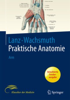 Arm / Praktische Anatomie Bd.1/3 - Lanz, T. von;Wachsmuth, W.