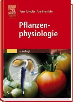 Pflanzenphysiologie - Schopfer, Peter / Brennicke, Axel
