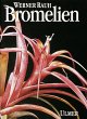 Bromelien - Bild 1