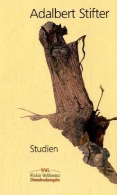 Cover Studien
