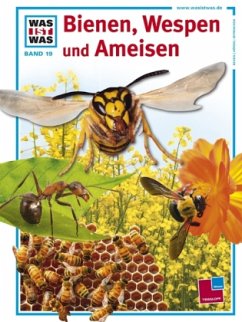 Bienen, Wespen und Ameisen - Steghaus-Kovac, Sabine