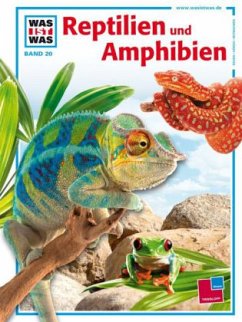 Reptilien und Amphibien - Niekisch, Manfred