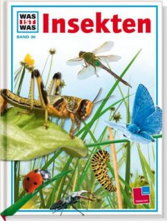 Insekten - Steghaus-Kovac, Sabine