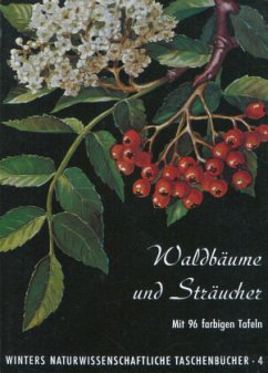 Waldbäume, Sträucher und Zwergholzgewächse - Fickler, Hans-Heinrich; Haller, Karl E.; Kartmann, Friedrich-Karl