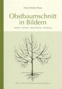 Obstbaumschnitt in Bildern - Riess, Hans W