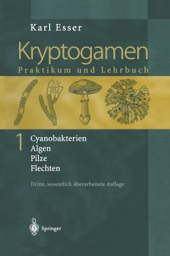 Kryptogamen 1 - Esser, Karl