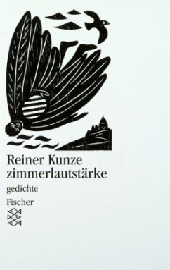 Zimmerlautstärke - Kunze, Reiner