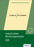 Lehrbuch/Industrielles Rechnungswesen IKR, EURO
