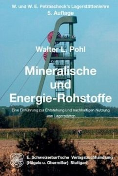 Mineralische und Energie-Rohstoffe - Pohl, Walter