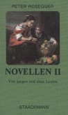 Von jungen und alten Leuten / Novellen Bd.2