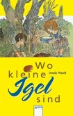 Wo kleine Igel sind