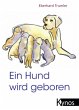 Ein Hund wird geboren - Bild 1