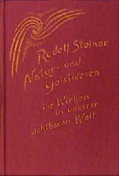 Natur- und Geistwesen - ihr Wirken in unserer sichtbaren Welt - Steiner, Rudolf