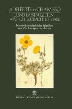 Cover Und lassen gelten, was ich beobachtet habe