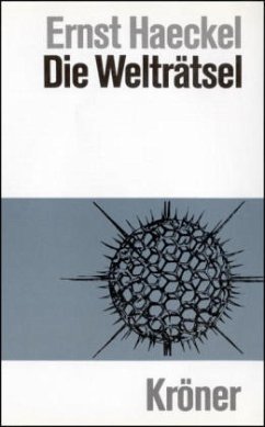 Cover Die Welträtsel