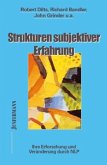 Strukturen subjektiver Erfahrung