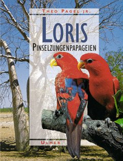 Loris - Pagel, Theo