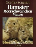 Hamster, Meerschweinchen, Mäuse und andere Nagetiere