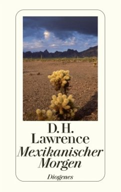 Mexikanischer Morgen - Lawrence, D. H.